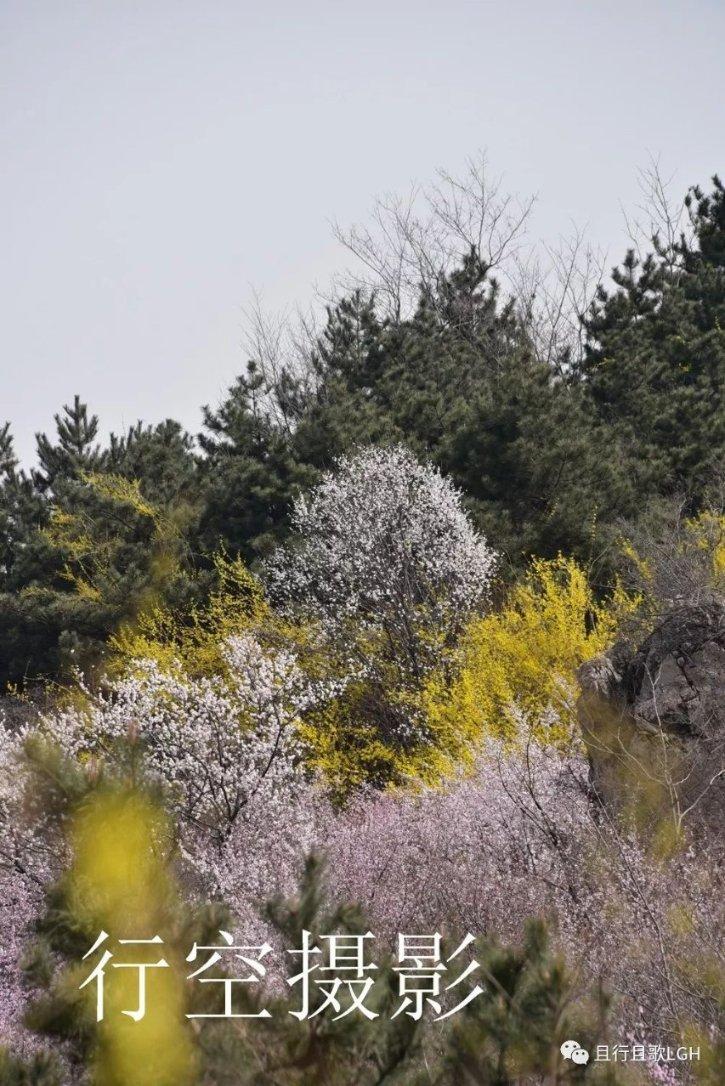 空闲农场